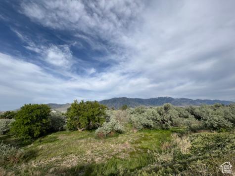 1215 S 100 E Tremonton UT 84337