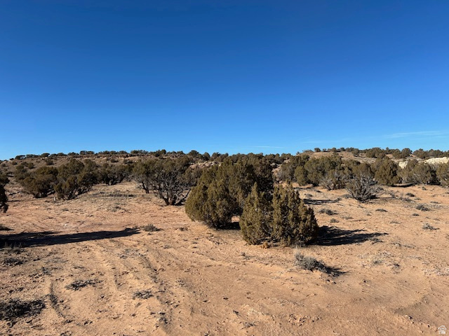 Roosevelt UT 84066