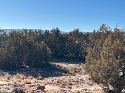 Roosevelt UT 84066