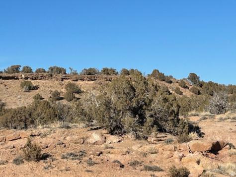 Roosevelt UT 84066