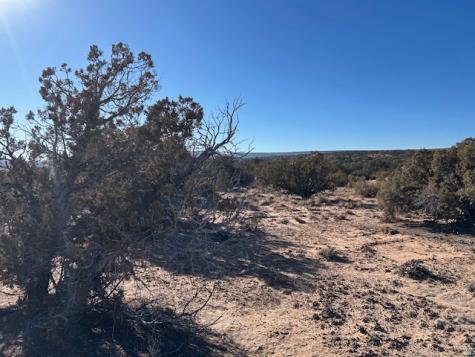 Roosevelt UT 84066