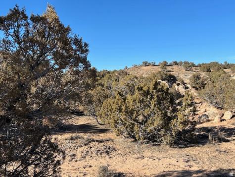 Roosevelt UT 84066