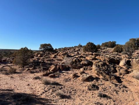 Roosevelt UT 84066