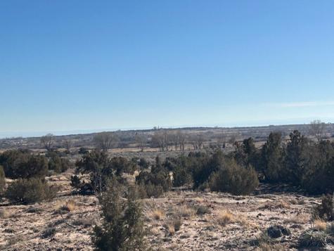 Roosevelt UT 84066
