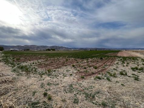 Monroe UT 84754