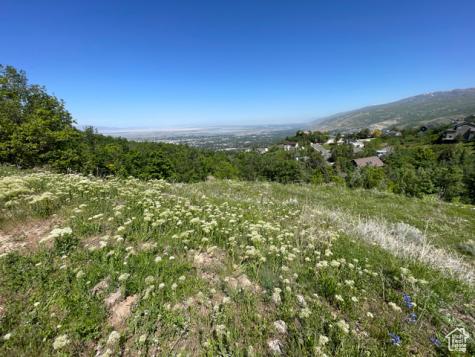 2902 S Cove E Bountiful UT 84010