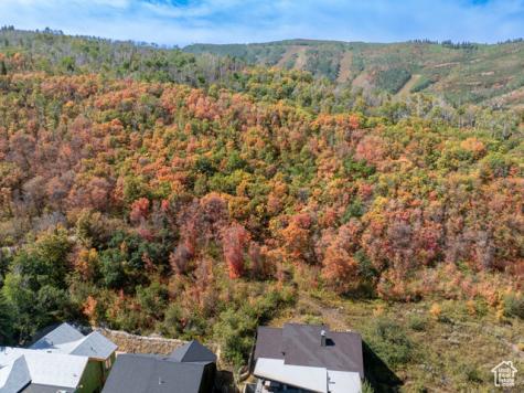 1037 Northstar Park City UT 84060