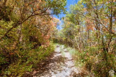 1037 Northstar Park City UT 84060