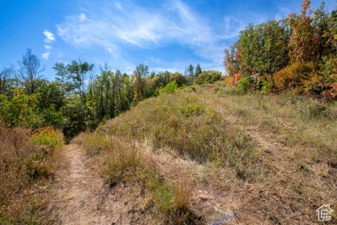 1037 Northstar Park City UT 84060