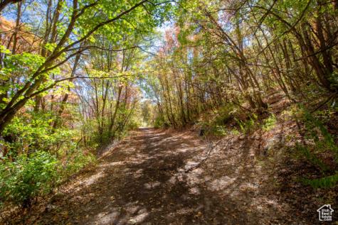 1037 Northstar Park City UT 84060
