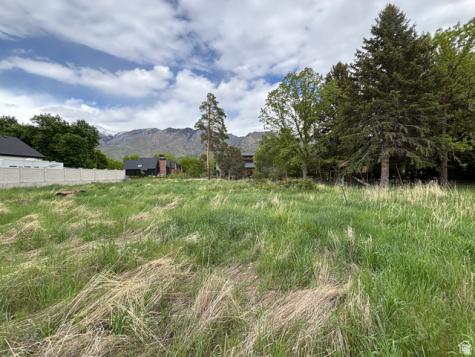 248 N Deerfield Drive Alpine UT 84004