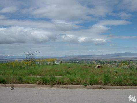 1342 E Skyline Drive Bountiful UT 84010