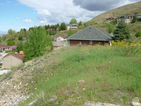 1342 E Skyline Drive Bountiful UT 84010