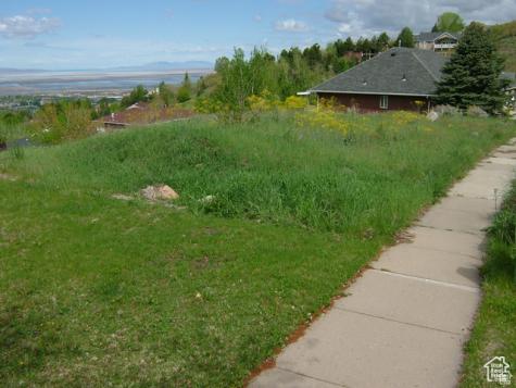1342 E Skyline Drive Bountiful UT 84010