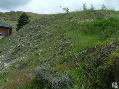 1342 E Skyline Drive Bountiful UT 84010