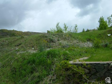 1342 E Skyline Drive Bountiful UT 84010