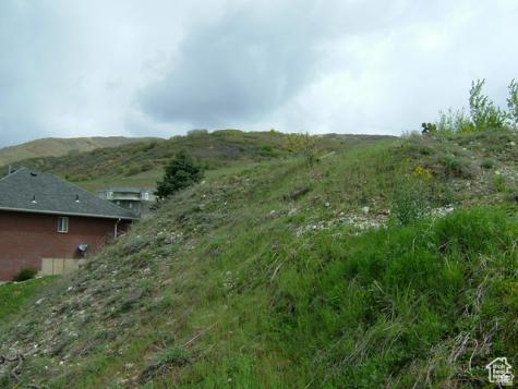 1342 E Skyline Drive Bountiful UT 84010