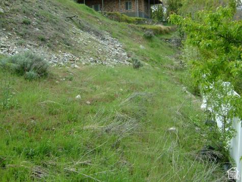 1342 E Skyline Drive Bountiful UT 84010