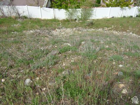 1342 E Skyline Drive Bountiful UT 84010