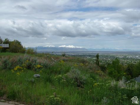 1342 E Skyline Drive Bountiful UT 84010