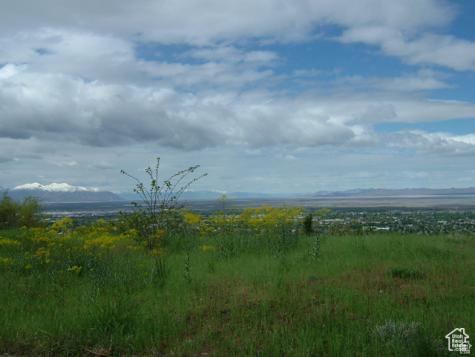 1342 E Skyline Drive Bountiful UT 84010