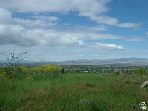 1342 E Skyline Drive Bountiful UT 84010