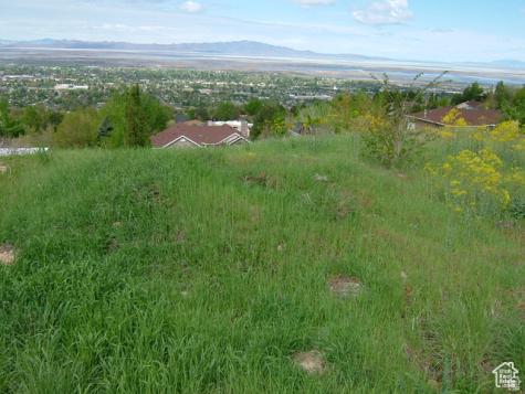 1342 E Skyline Drive Bountiful UT 84010