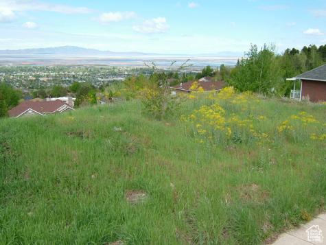 1342 E Skyline Drive Bountiful UT 84010