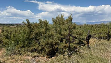 862 S 2500 E Roosevelt UT 84066