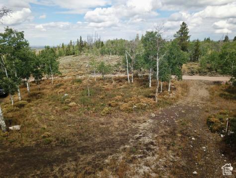 4518 Alpine Circle Kamas UT 84036