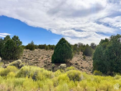 1730 E Eagle Circle Hatch UT 84735