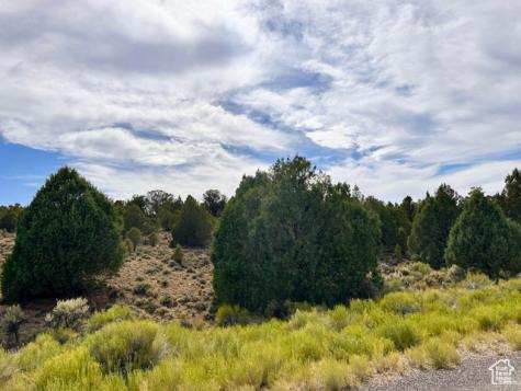 1730 E Eagle Circle Hatch UT 84735