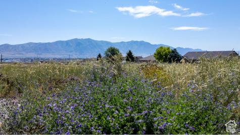 2342 W 1150 N Tremonton UT 84337