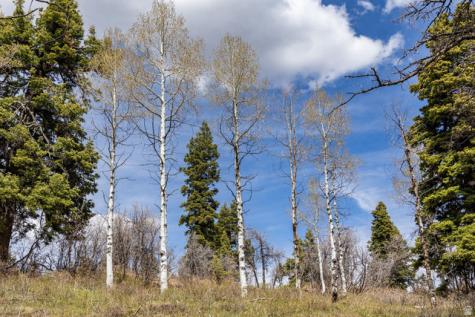 2664 S Iroquois Loop E Wanship UT 84017