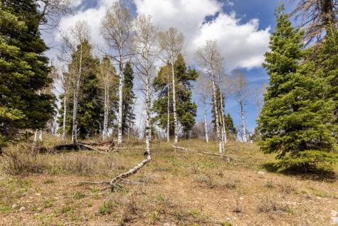 2664 S Iroquois Loop E Wanship UT 84017