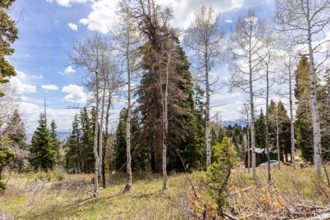 2664 S Iroquois Loop E Wanship UT 84017