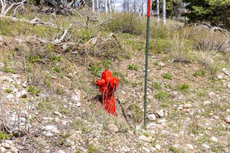 2664 S Iroquois Loop E Wanship UT 84017
