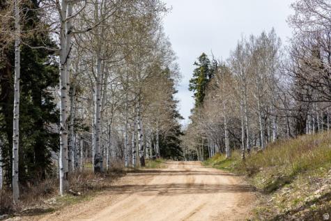 2664 S Iroquois Loop E Wanship UT 84017