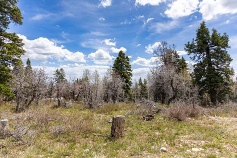 2664 S Iroquois Loop E Wanship UT 84017