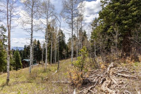 2664 S Iroquois Loop E Wanship UT 84017
