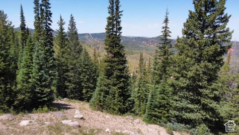 1063 E Paddington Circle Brian Head UT 84719