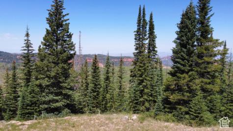 1063 E Paddington Circle Brian Head UT 84719