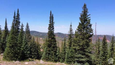 1063 E Paddington Circle Brian Head UT 84719