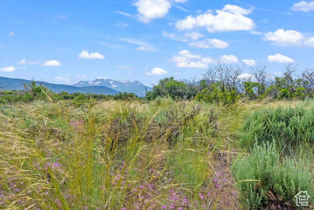 11 S Skyline View Drive E Heber City UT 84032