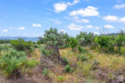 11 S Skyline View Drive E Heber City UT 84032