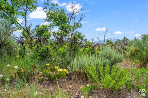 11 S Skyline View Drive E Heber City UT 84032