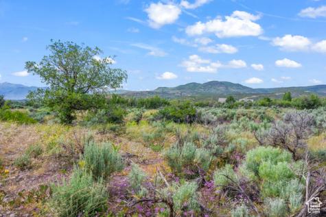 11 S Skyline View Drive E Heber City UT 84032