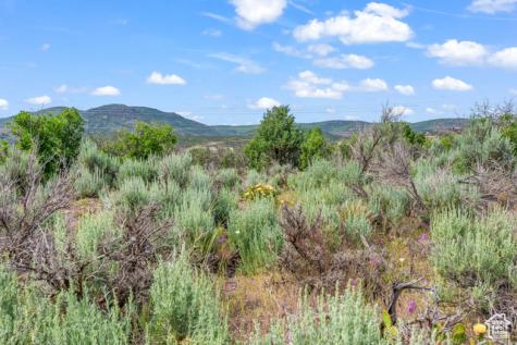 11 S Skyline View Drive E Heber City UT 84032