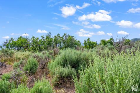 11 S Skyline View Drive E Heber City UT 84032