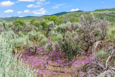 11 S Skyline View Drive E Heber City UT 84032